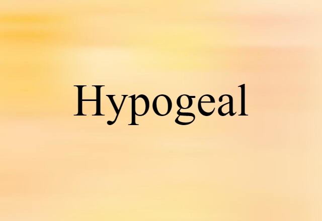 Hypogeal (noun) Definition, Meaning & Examples