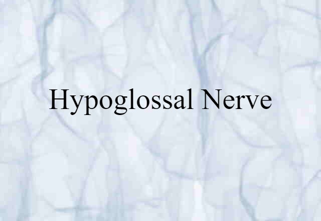 hypoglossal nerve