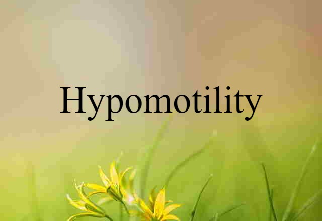 Hypomotility (noun) Definition, Meaning & Examples