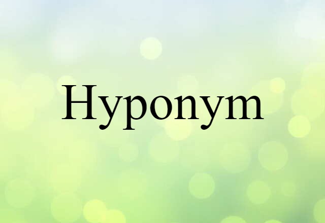 Hyponym (noun) Definition, Meaning & Examples