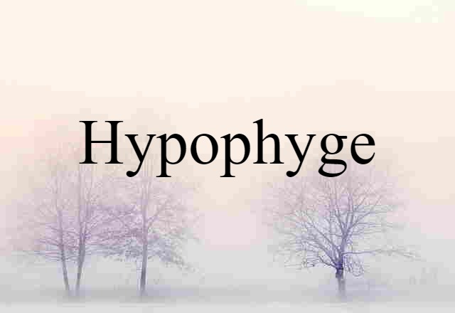 Hypophyge (noun) Definition, Meaning & Examples