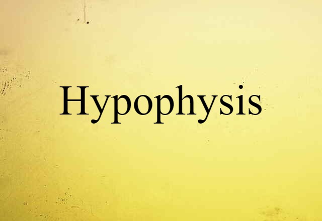 hypophysis