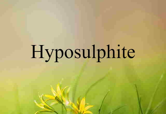 Hyposulphite (noun) Definition, Meaning & Examples