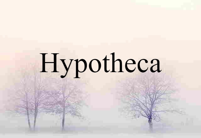 Hypotheca (noun) Definition, Meaning & Examples