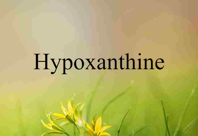 hypoxanthine