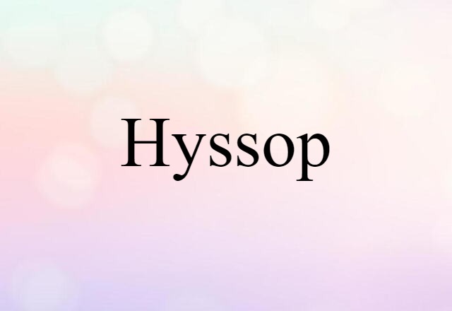 hyssop