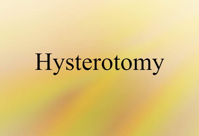 Hysterotomy (noun) Definition, Meaning & Examples