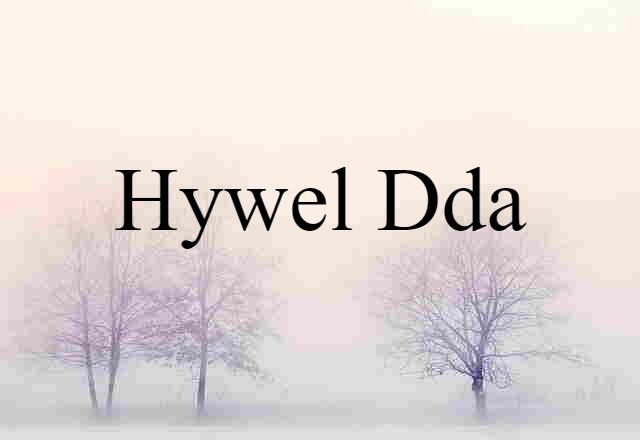 Hywel Dda (noun) Definition, Meaning & Examples