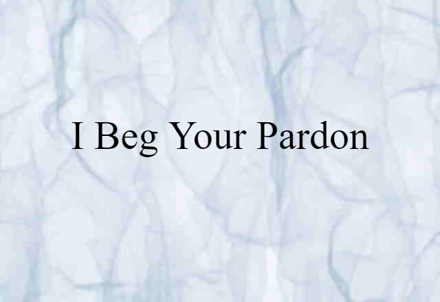 I Beg Your Pardon (noun) Definition, Meaning & Examples