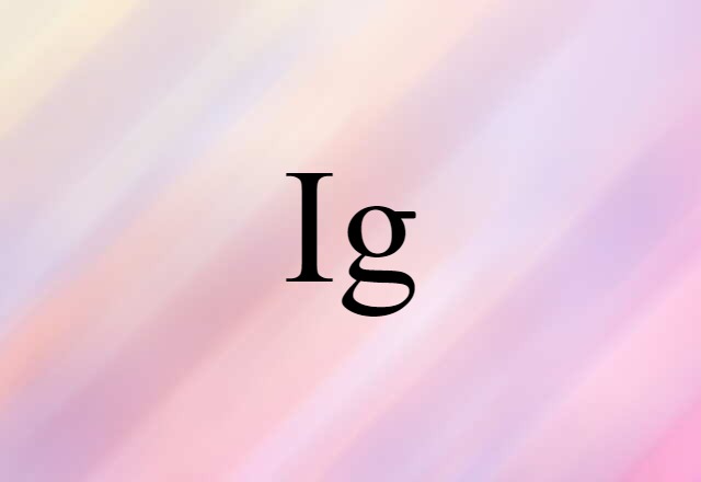 Ig (noun) Definition, Meaning & Examples