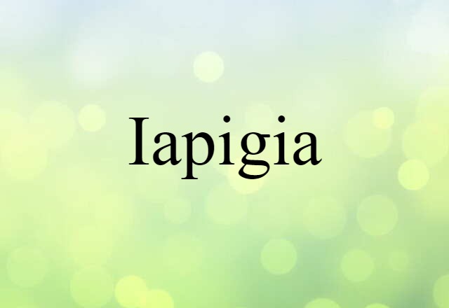 Iapigia (noun) Definition, Meaning & Examples