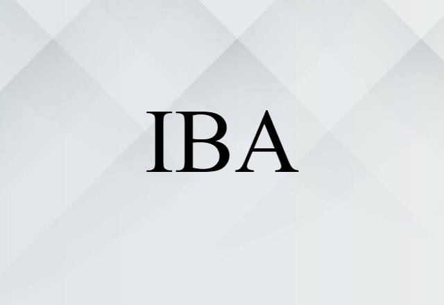 IBA (noun) Definition, Meaning & Examples