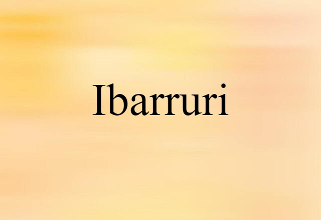 Ibarruri (noun) Definition, Meaning & Examples