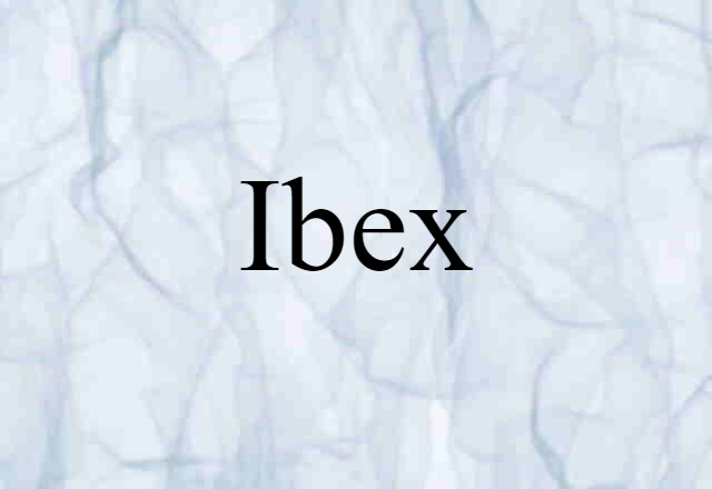 Ibex (noun) Definition, Meaning & Examples