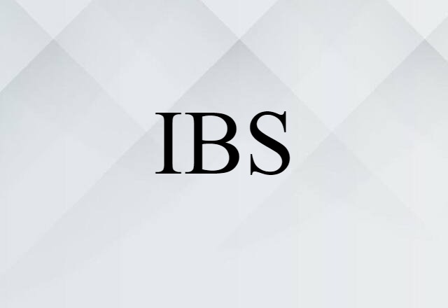 IBS (noun) Definition, Meaning & Examples