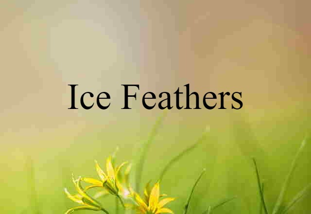 ice feathers