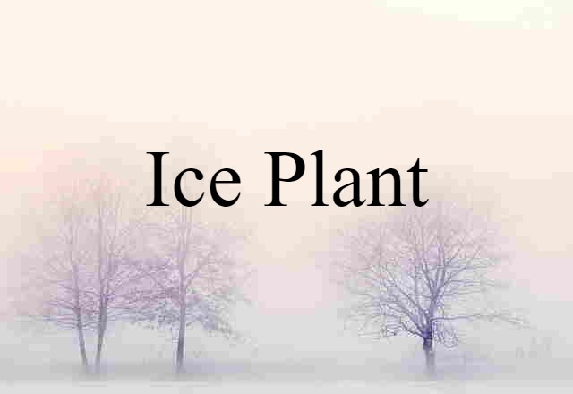 Ice Plant (noun) Definition, Meaning & Examples