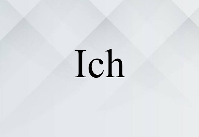 Ich (noun) Definition, Meaning & Examples