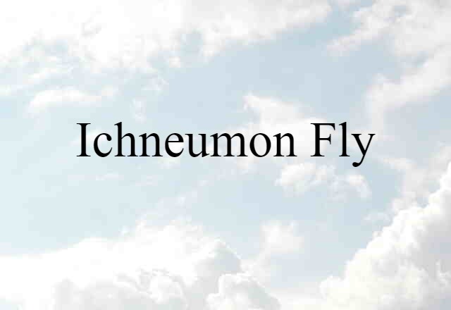 ichneumon fly