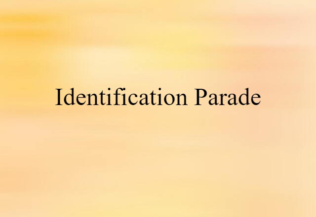 Identification Parade (noun) Definition, Meaning & Examples