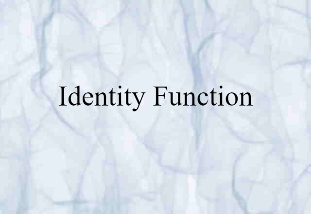 Identity Function (noun) Definition, Meaning & Examples