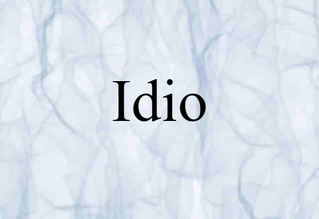 Idio (noun) Definition, Meaning & Examples