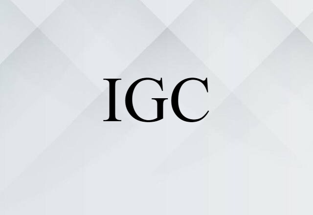 IGC (noun) Definition, Meaning & Examples