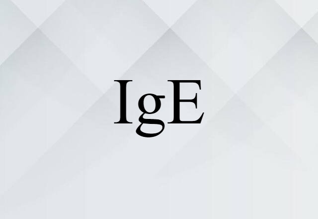 IgE (noun) Definition, Meaning & Examples