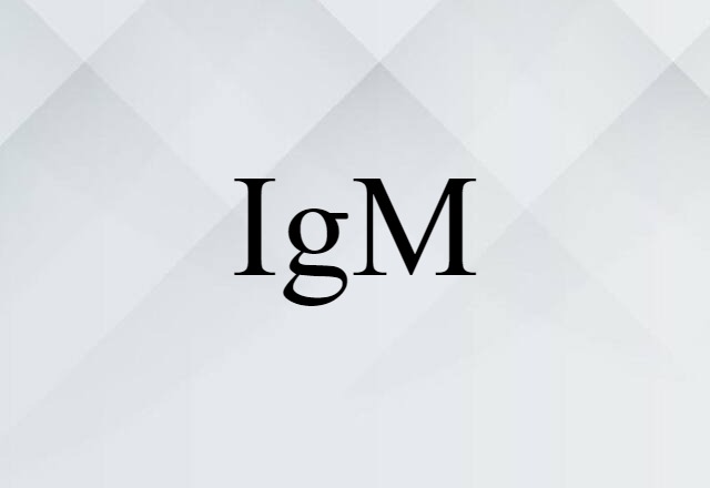 IgM