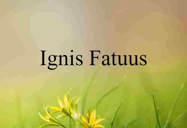 Ignis Fatuus (noun) Definition, Meaning & Examples