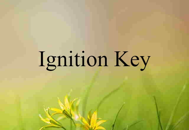 ignition key