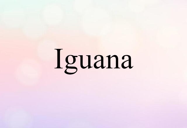 Iguana (noun) Definition, Meaning & Examples