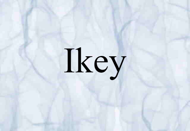 Ikey (noun) Definition, Meaning & Examples