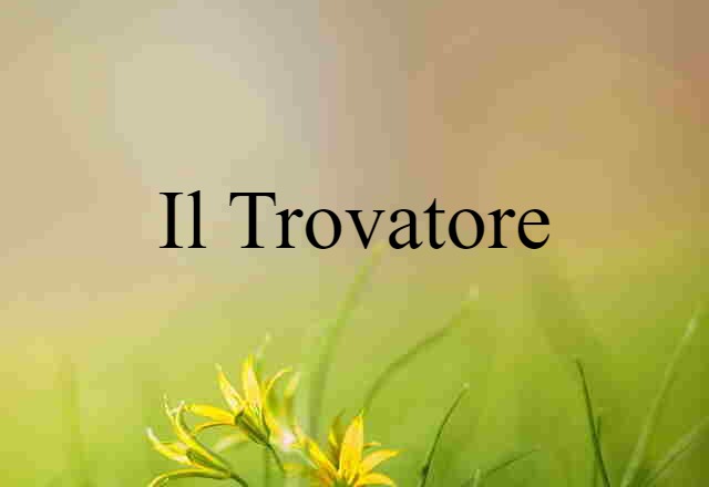 Il Trovatore (noun) Definition, Meaning & Examples