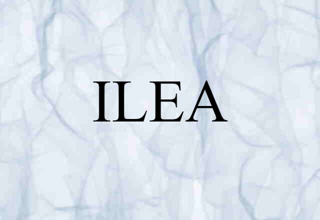 ILEA (noun) Definition, Meaning & Examples