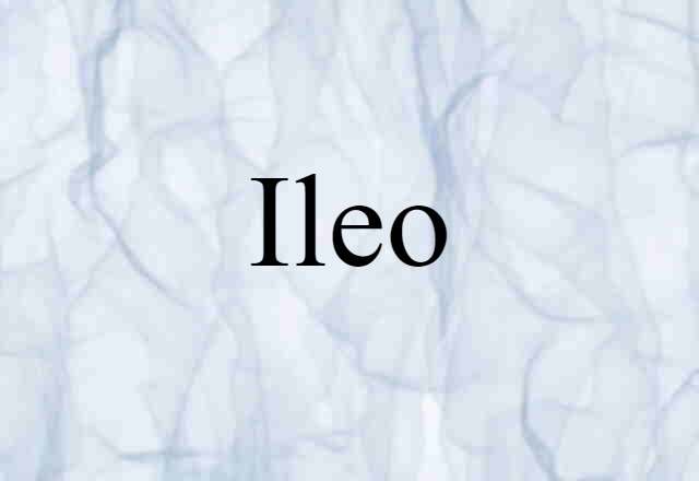 ileo