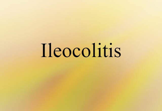 Ileocolitis (noun) Definition, Meaning & Examples