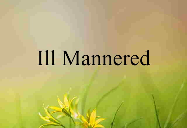 Ill Mannered (noun) Definition, Meaning & Examples