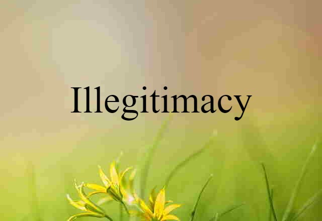 Illegitimacy (noun) Definition, Meaning & Examples