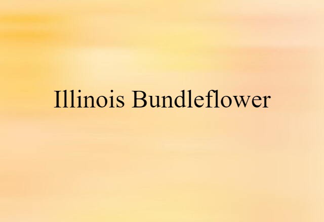 Illinois bundleflower