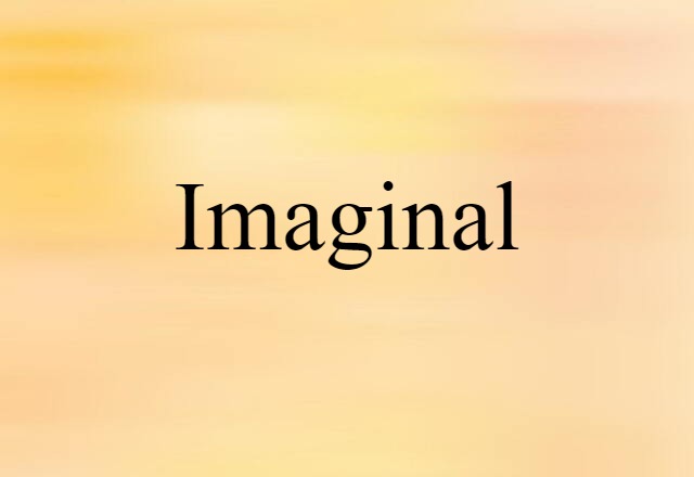 Imaginal (noun) Definition, Meaning & Examples