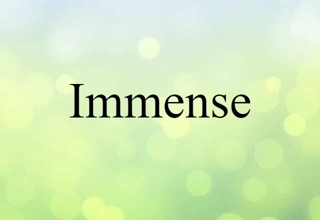 Immense (noun) Definition, Meaning & Examples