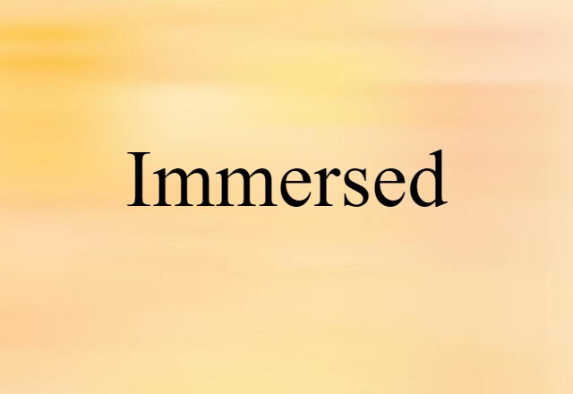 Immersed (noun) Definition, Meaning & Examples