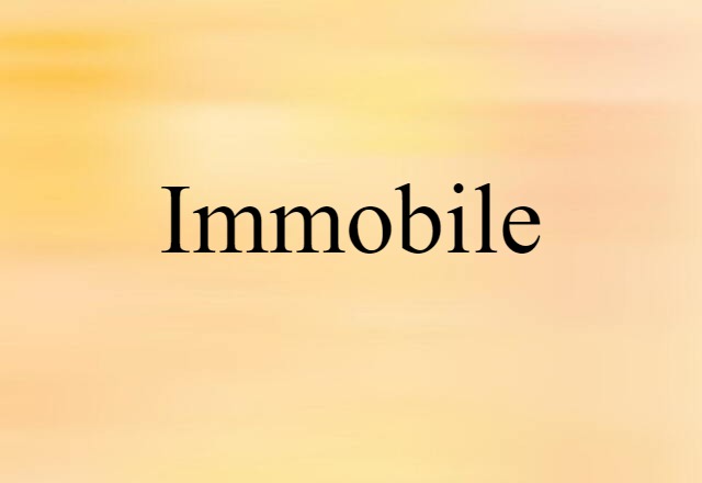 Immobile (noun) Definition, Meaning & Examples