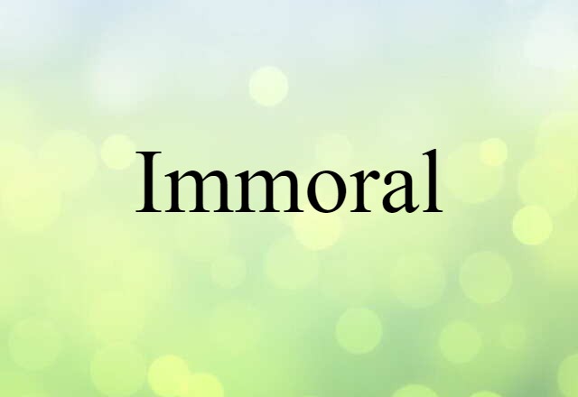 Immoral (noun) Definition, Meaning & Examples