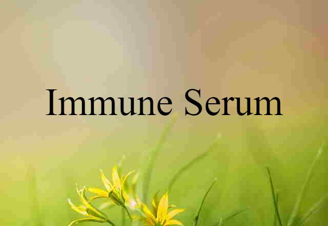 Immune Serum (noun) Definition, Meaning & Examples