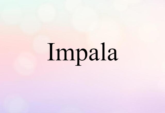 Impala (noun) Definition, Meaning & Examples