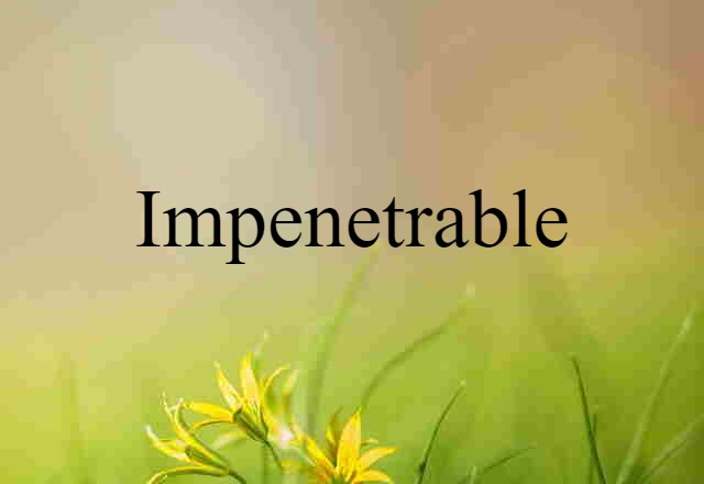 Impenetrable (noun) Definition, Meaning & Examples