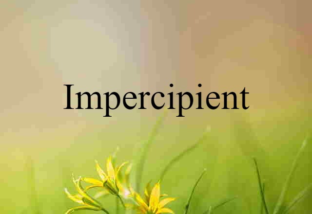 Impercipient (noun) Definition, Meaning & Examples