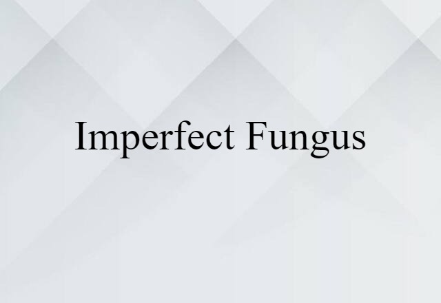 Imperfect Fungus (noun) Definition, Meaning & Examples